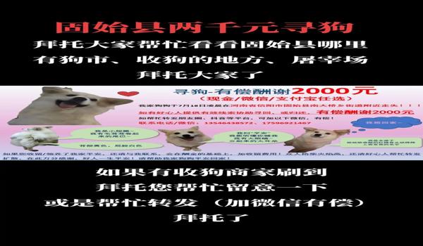 三角洲行动手机端寻血猎犬(寻血猎犬在三角洲行动的价格是多少?) 三角洲行动手机端寻血猎犬(寻血猎犬在三角洲行动的价格是多少?)